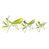 Sets of 3 Garden Wall Art Outdoor Metal Mantis Sculpture