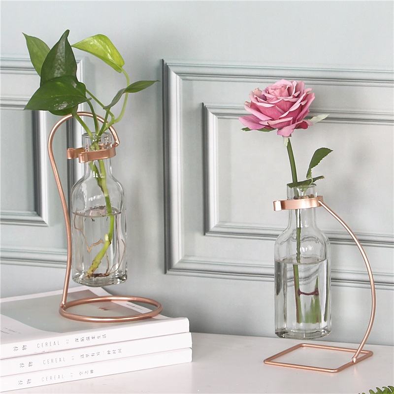 Luxury Hydroponic Home Decoration Flower Iron Craft Decoration Nordic Home Decor Nordic Vase Event & Party Supplies Accessories