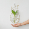 Nordic Style Iron Pineapple Hydroponics Glass Bottle Pendant Home Wall Decoration