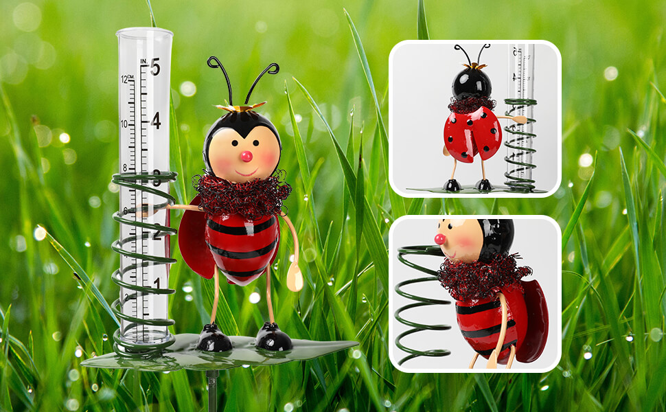 ladybug rain gauge details (1).jpg