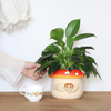 Unique Cute Mushroom Head Plant Pots Resin Planter with Drainage