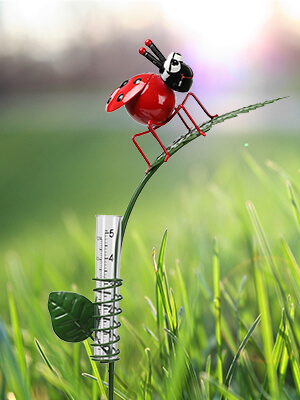 Ladybug Rain Gauge Stake 8 (1)