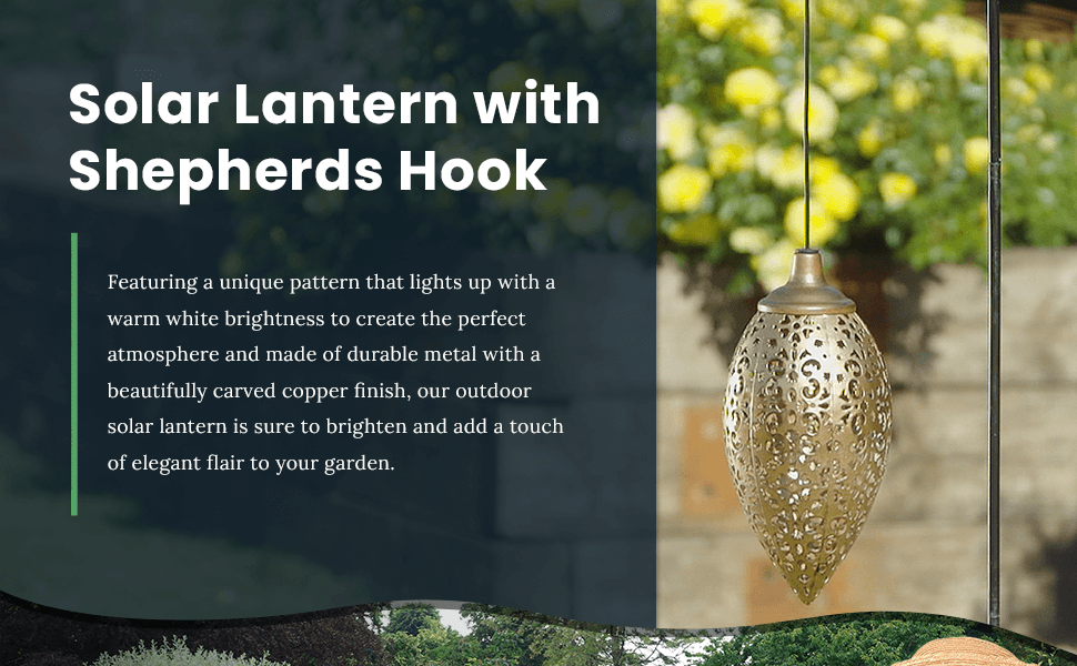 solar lantern with shepherds hook (1)