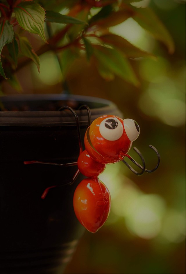 red ant pot hanger 10