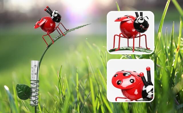 Ladybug Rain Gauge Stake 1