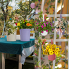 Indoor And Outdoor Large Multicolor Flower Pots Balcony Garden Railing Planter Iron Hanging Planters
