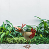 Manufacturer Wholesale Cheap Garden Bird Shaped Flower Planter Pot