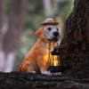 Adorable Resin Puppy Garden Figurine with A Straw Hat And Solar LED Lantern