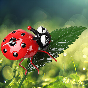 Ladybug Rain Gauge Stake 8 (3)