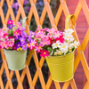 Indoor And Outdoor Large Multicolor Flower Pots Balcony Garden Railing Planter Iron Hanging Planters