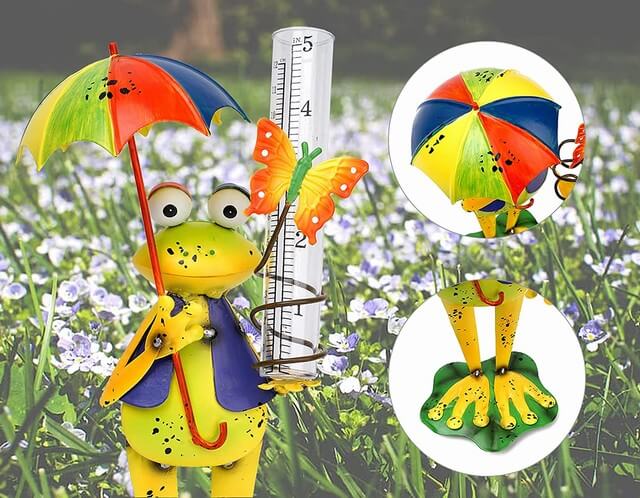 Frog Rain Gauge 2