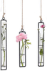 Home Garden Decoration Metal Stand Hydroponics Planter Glass Flower Vase