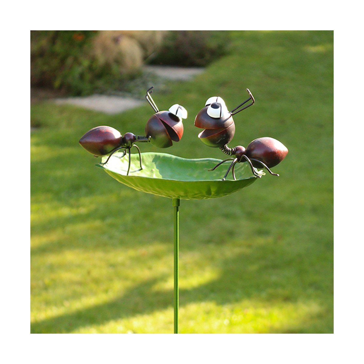 ant bird bath (3)