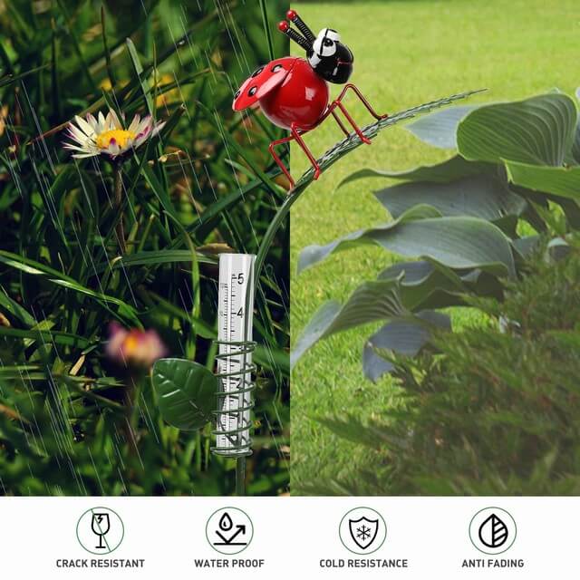 Ladybug Rain Gauge Stake 8