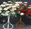 Nordic Ins Wrought Iron Vase Simple Transparent Hydroponic Fdecoration Flower Stand Metal Vases