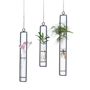 Indoor Plants Decor Hanging Black Metal Hydroponic Vase Transparent Test Tube For Floral Container Decoration