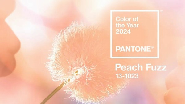 Pantone has released its representative color